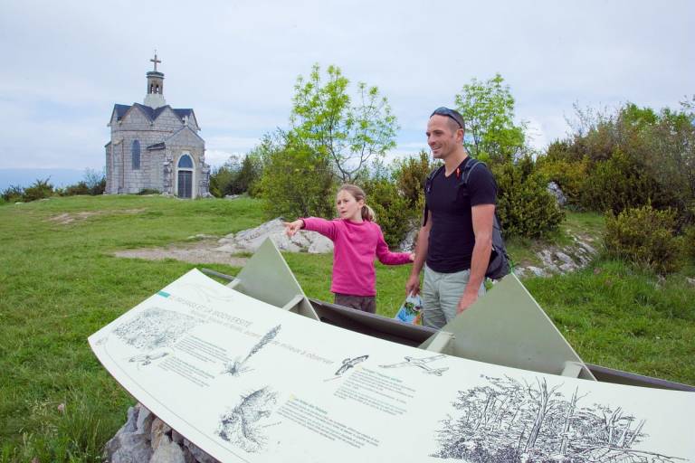The dry lawns of Mont Saint-Michel image2