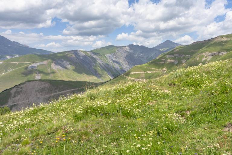 Loutre de Quoa - Randonnée depuis Besse-en-Oisans image2