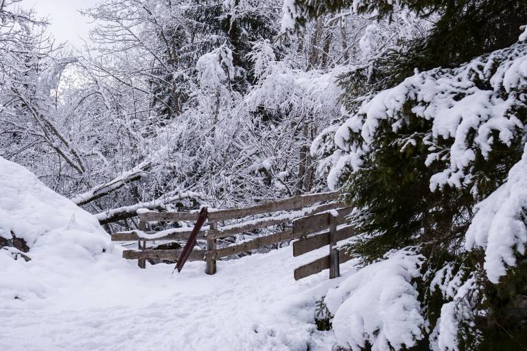 Randonnée hiver : Boucle des Combes image1