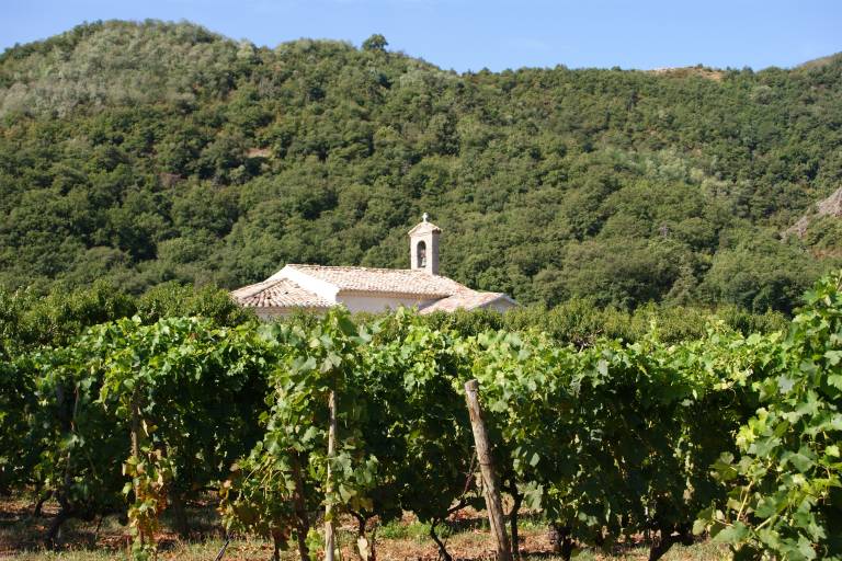 Saint Bosc image1