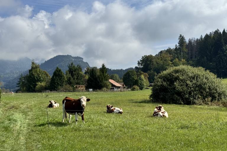 Sentier de randonnée - Les Balcons des Grands Prés - Circuit 3 image2