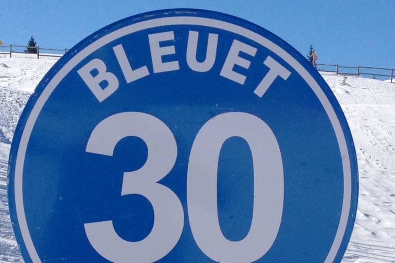 Bleuet image1