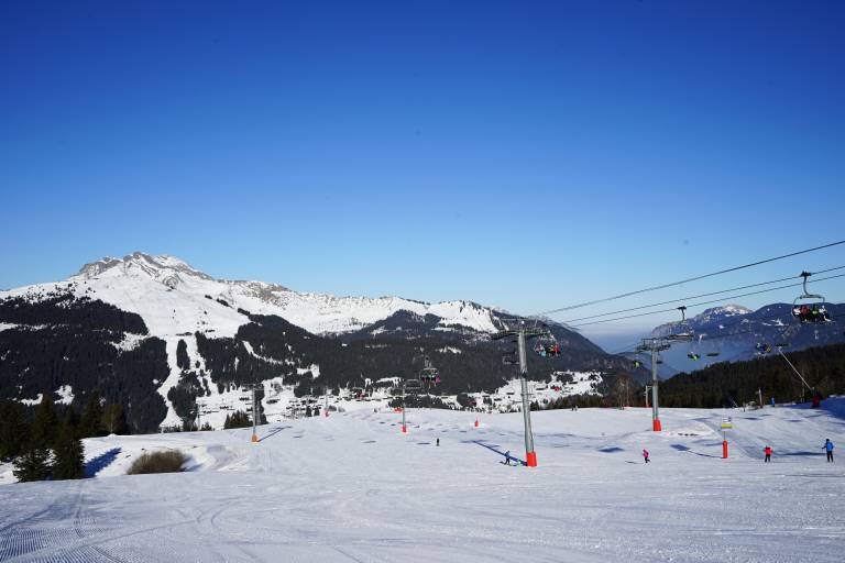 Gentiane image1