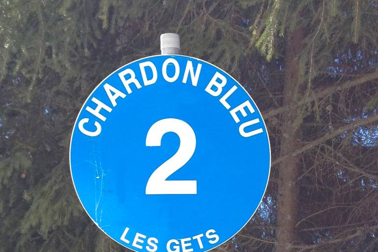 Chardon Bleu image1