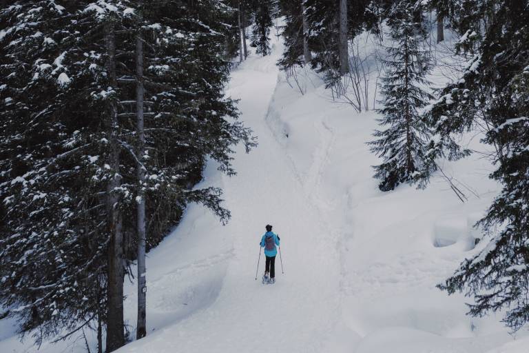 Le Bouc Blanc (depuis La Tania) image1