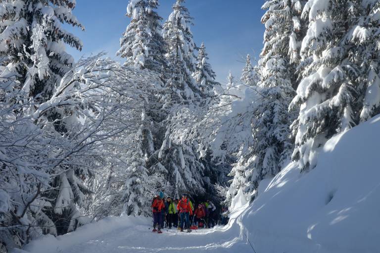Walking/snowshoe itinerary - La Molière Loop image1