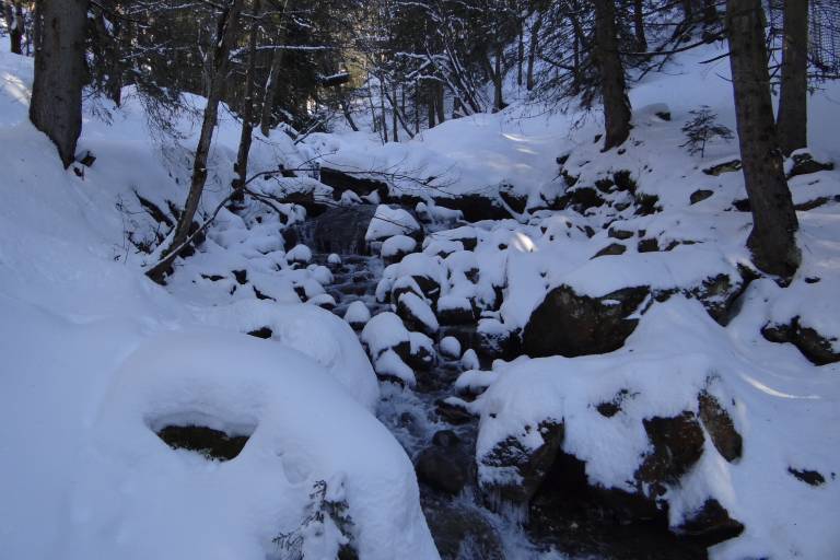 Snowshoeing itinerary - Le sentier des Paquiers image2