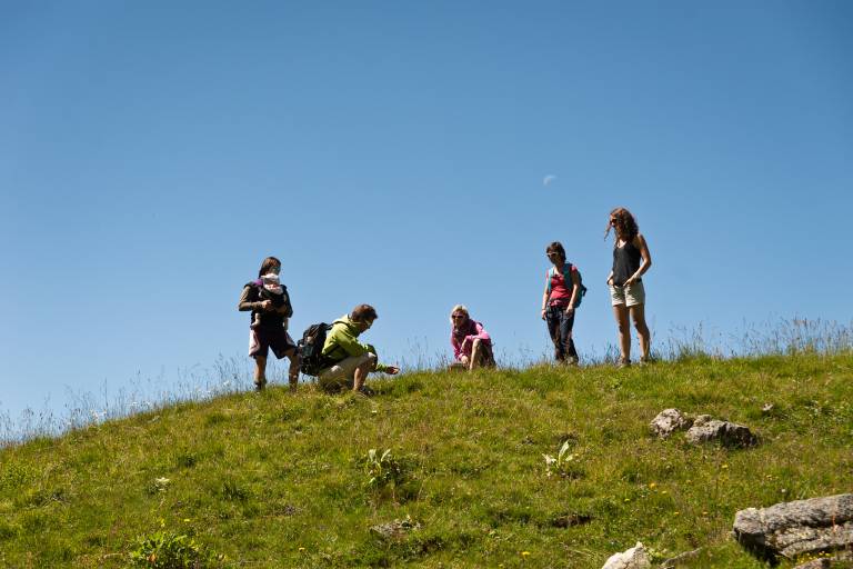 Paradise Loop image1