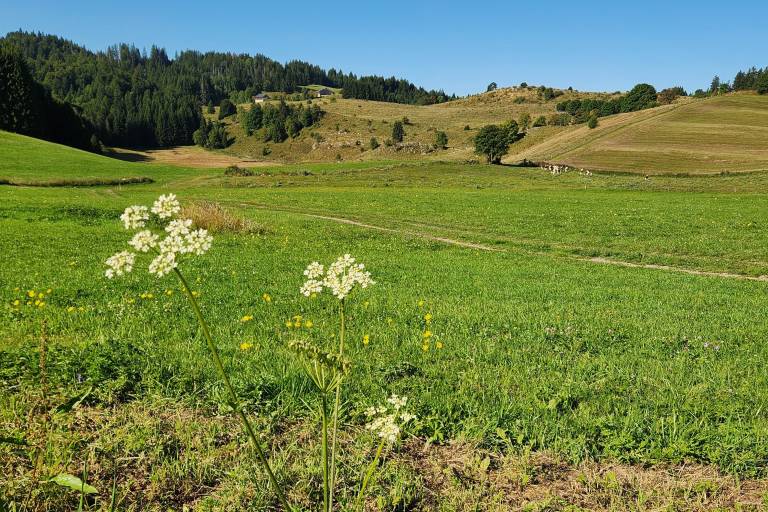 Hiking track - The summit of Miribel by Col de Creux image2