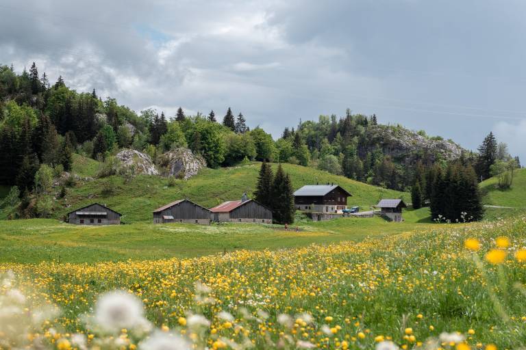Sentier de randonnée - Le tour du plateau de Plaine Joux image1