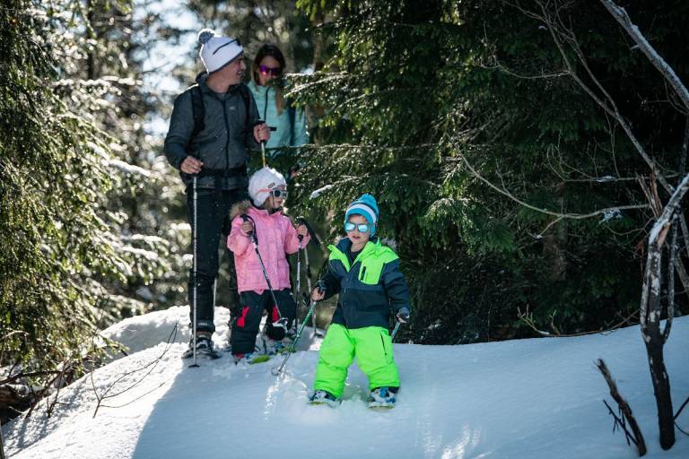 Randonnée raquettes : La Grotte aux Fées image2