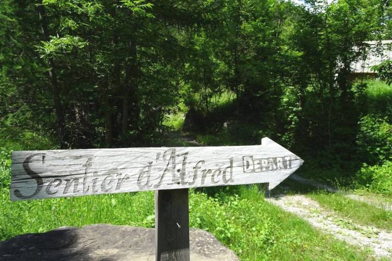 THEMED PATH: Mr Alfred's wood image2