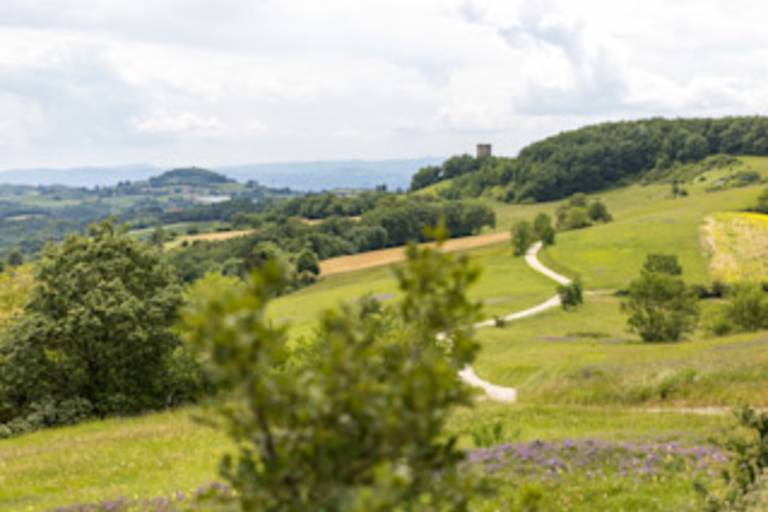 The panoramic ridge image1