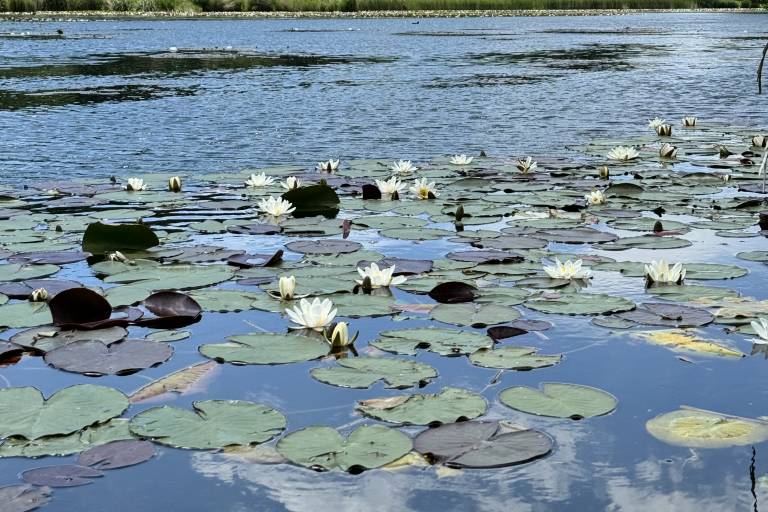 Balade pédestre - Tour du lac du Môle image1