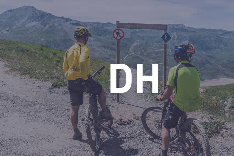 DH9 - La Transhumance image1