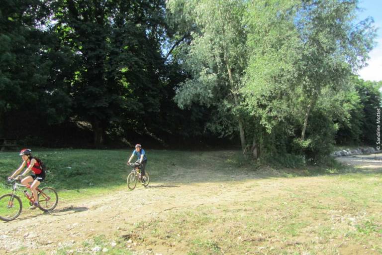Mountainbike trail image2