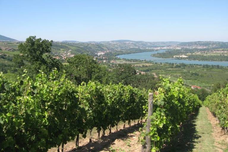 Sentier des vignobles image1