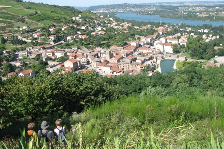 Sentier des vignobles image2