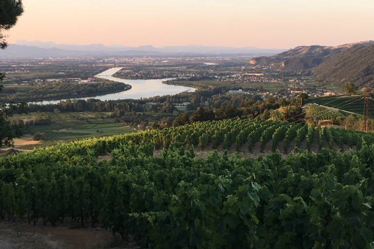Détours en vignes : Saint Joseph image1