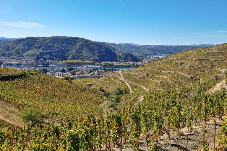 Détours en vigne : Hermitage image1