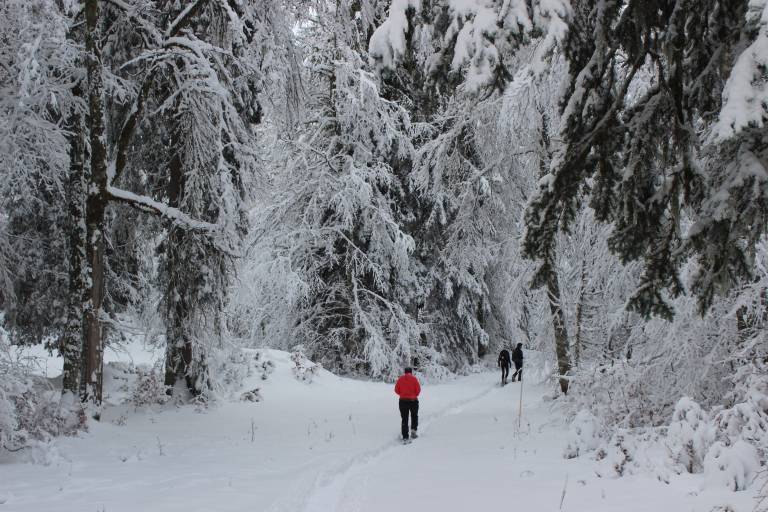 La Gelinotte snowshoe trail image2