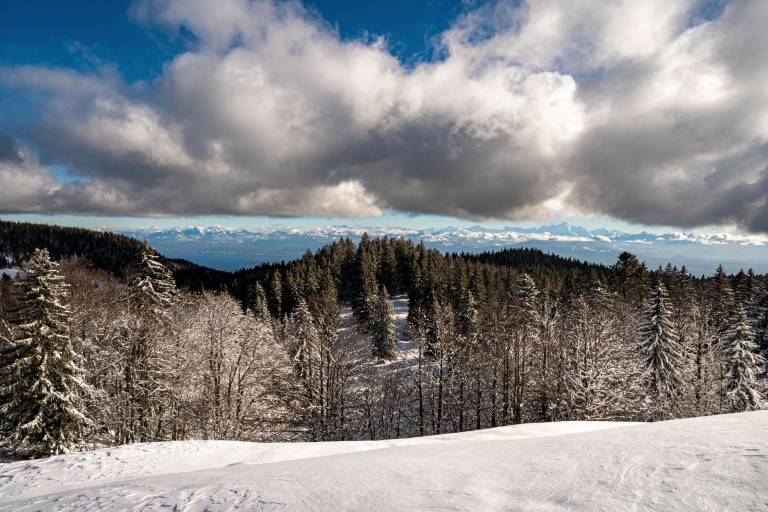 La Gelinotte snowshoe trail image1