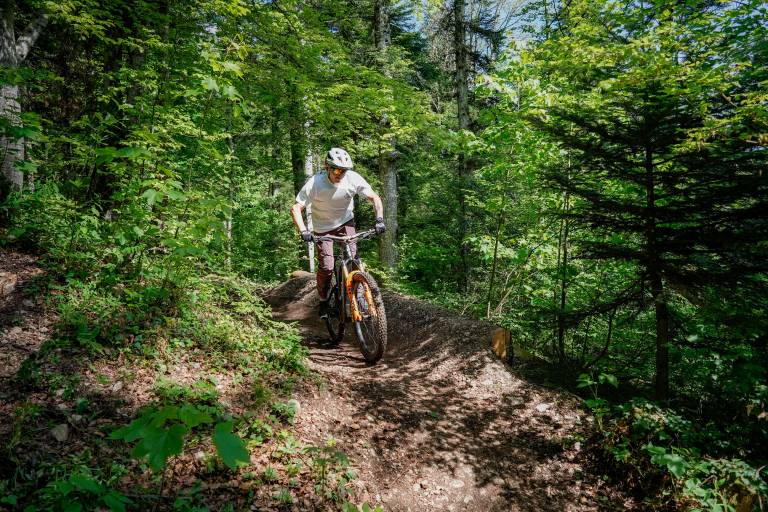 Piste VTT descente - double noir - Jointure - Espace Ain Forestière image1