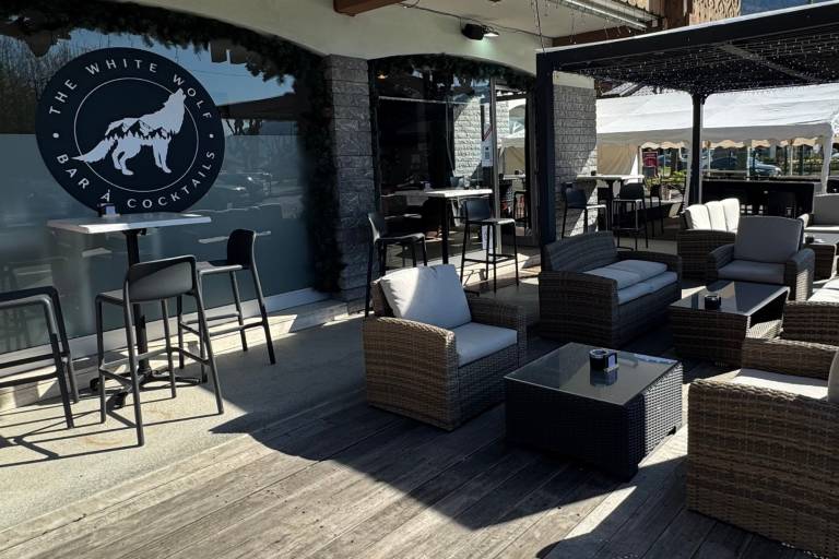 The White Wolf image1