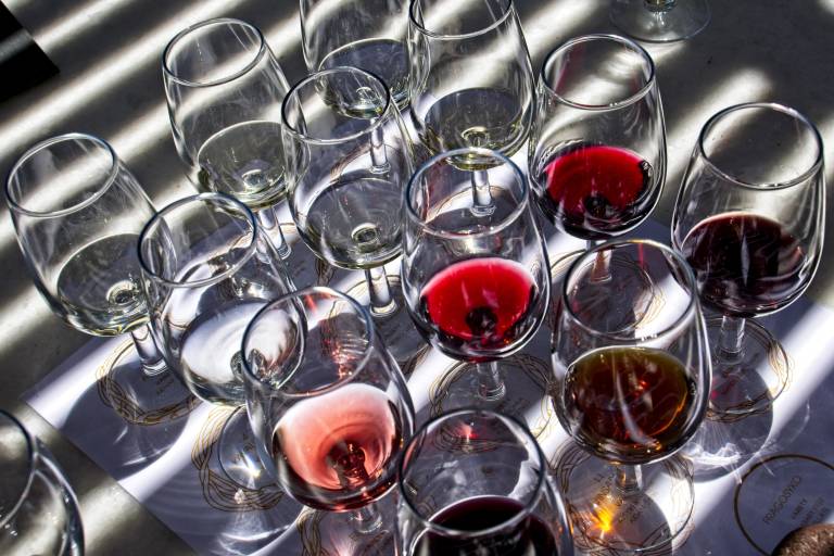 Introductory Wine Tasting Class image1