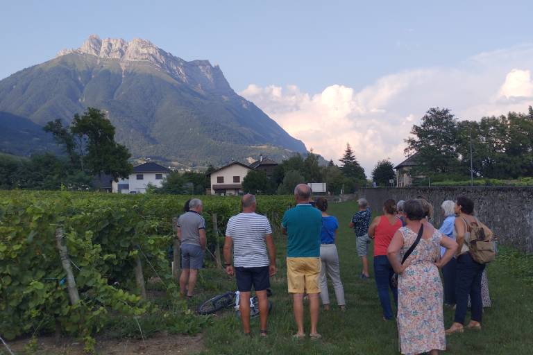 Vignobles en scène : Animations et dégustations au Domaine de Méjane image1