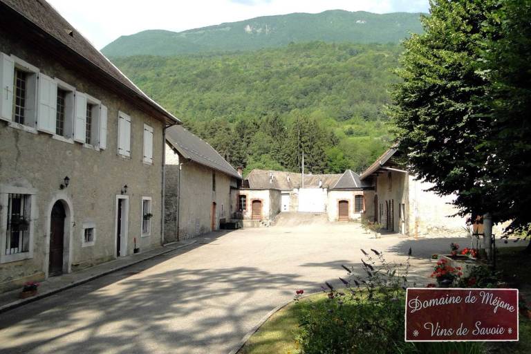 Vignobles en scène : Animations et dégustations au Domaine de Méjane image2