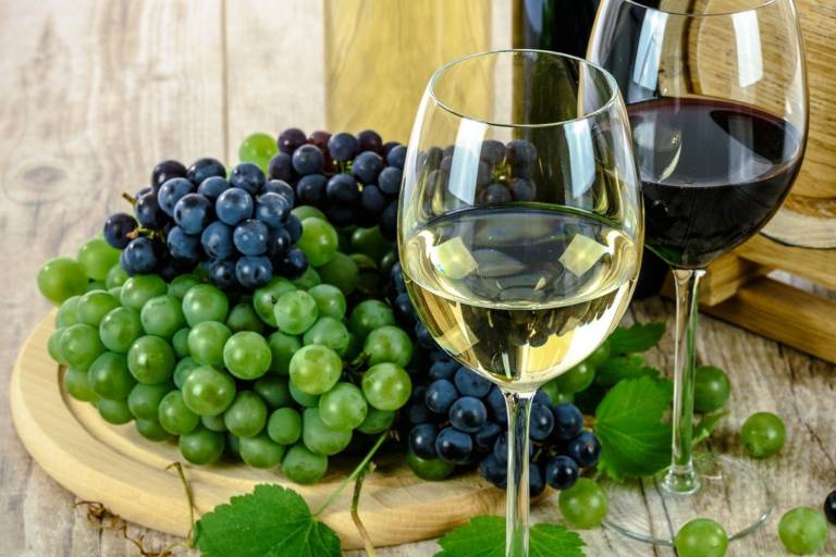 Salon des Vins image2