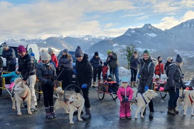 Chiens de traîneaux, Père Noël et Papillotes image1