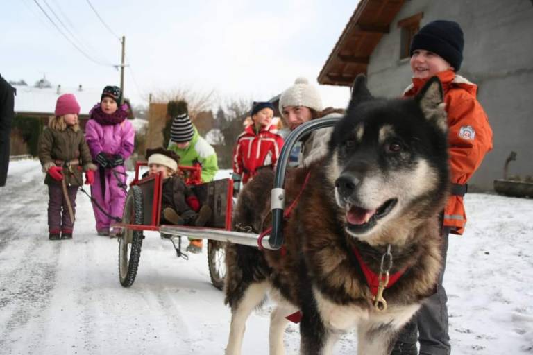 Chiens de traîneaux, Père Noël et Papillotes image2