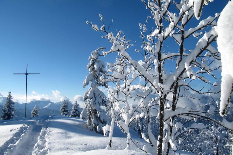 Sortie raquettes accompagnée sur le Plateau de Beauregard image2