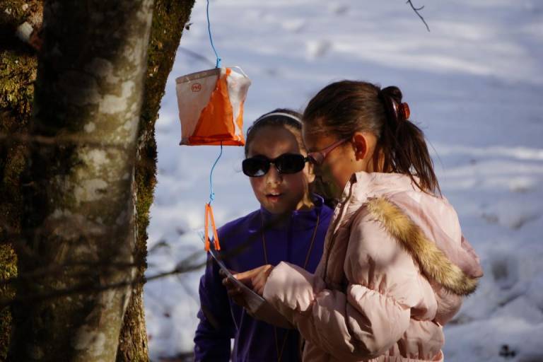 Orienteering image1