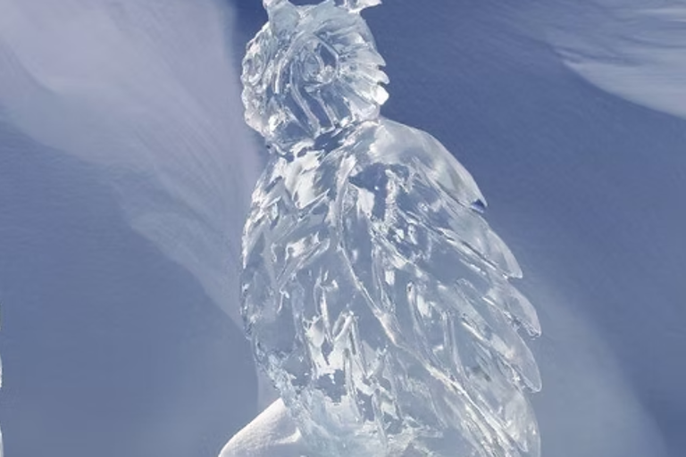 Sculpture sur glace image1