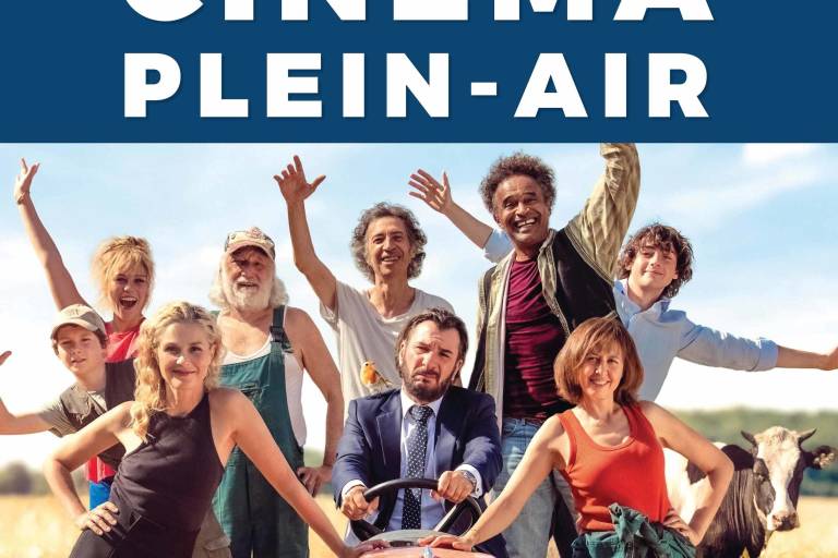 Cinéma Plein-Air : C'est le monde à l'envers ! image1