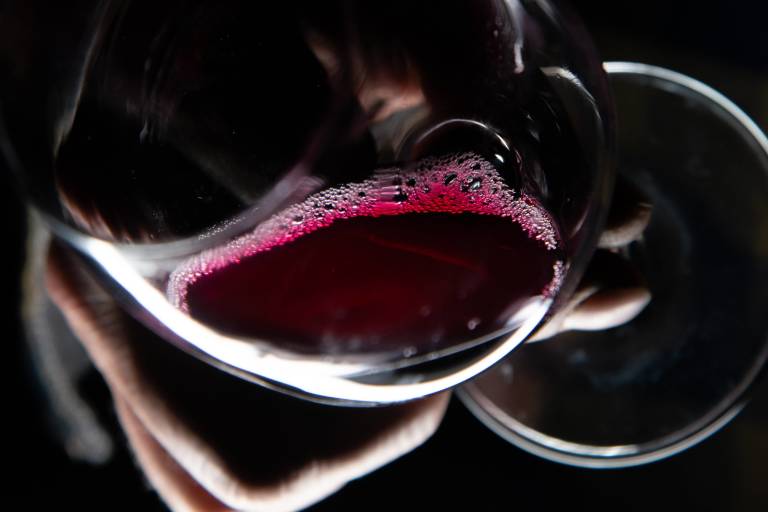 Apéro'vignes au Domaine des Albatros image2