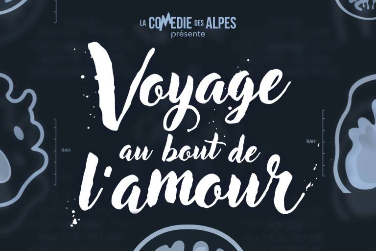 Théâtre : Voyage au bout de l'amour image1