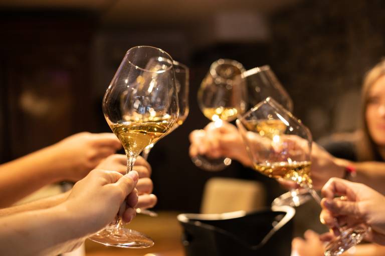 Visite de nos vignes et dégustation en accords mets et vins - Maison M. CHAPOUTIER image2