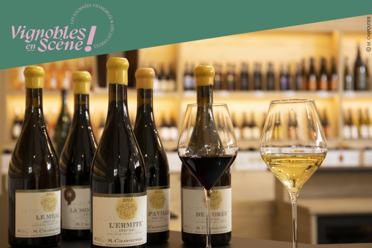Visite de nos vignes et dégustation en accords mets et vins - Maison M. CHAPOUTIER image1