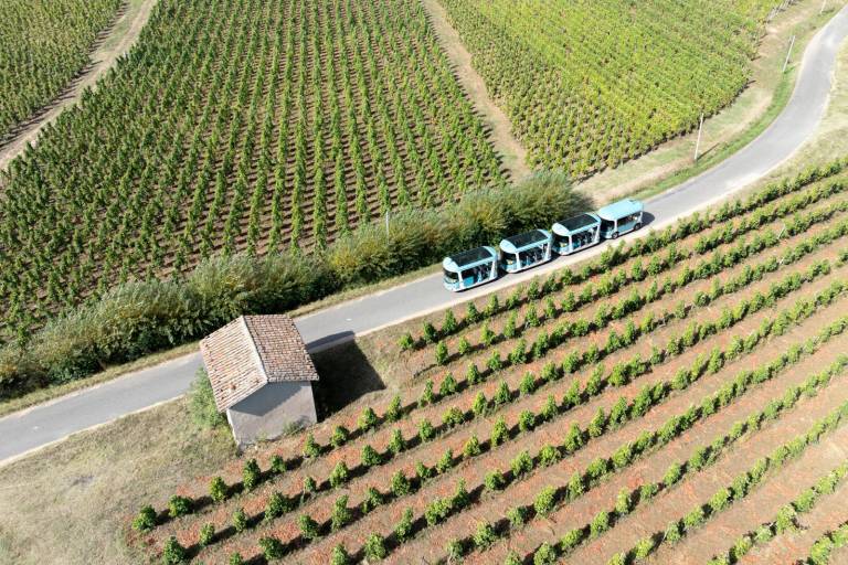 Côte-Rôtie Tour (spécial Journées européennes du patrimoine) image1