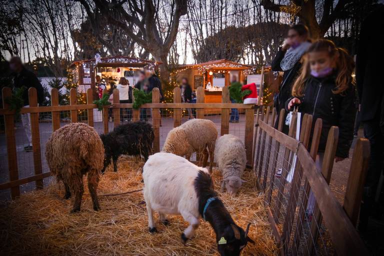 Ferme pédagogique image1