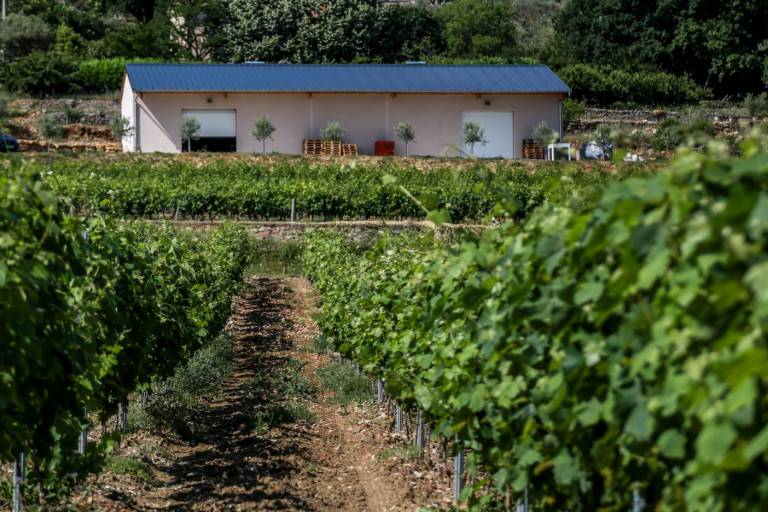 Saveurs de truffes et Vins d'Ardèche au Domaine du Père Léon image1