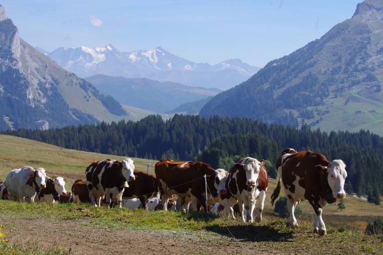 Visite de la Ferme de Lorette à Beauregard image2