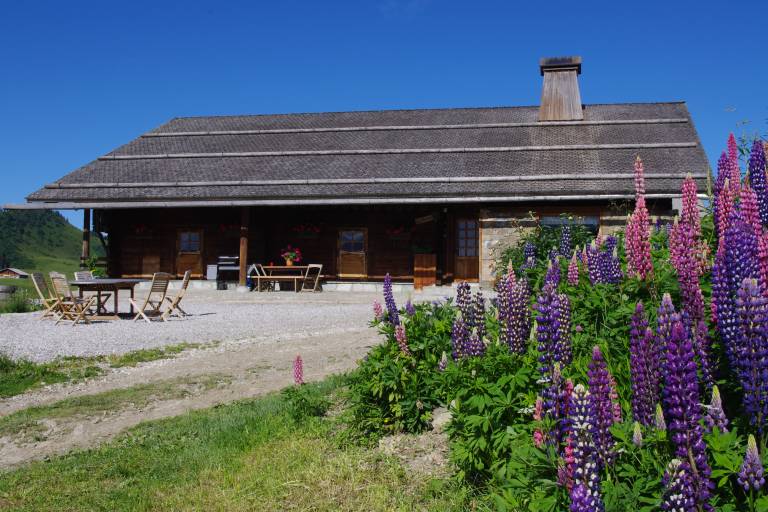 Farm visit special children image2