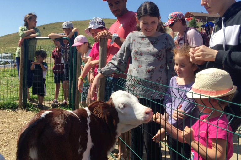 Farm visit special children image1