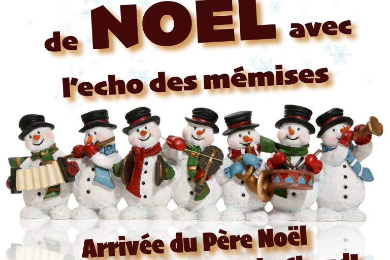 Concert animé par l'Echo des Mémises image1