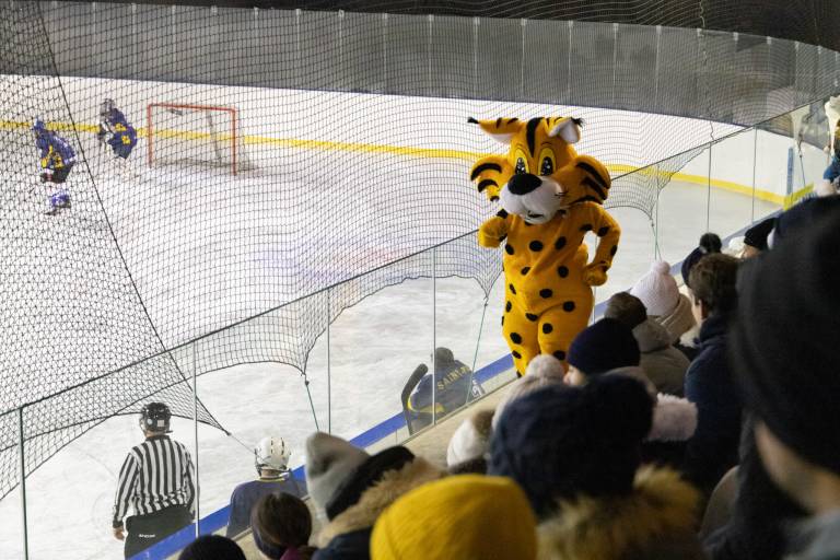 Field hockey match: Samoëns vs St Cergue image2